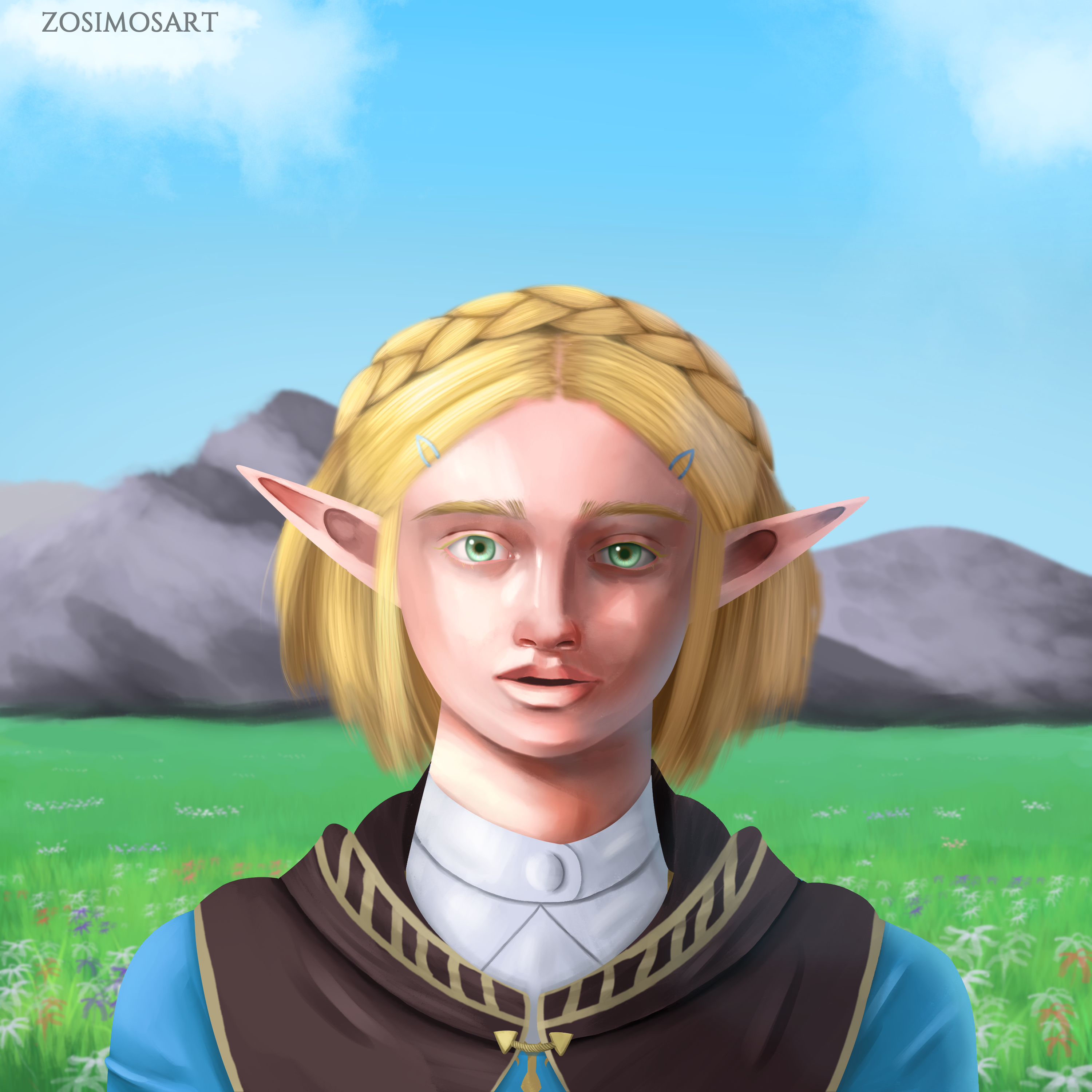 NEW Princess Zelda